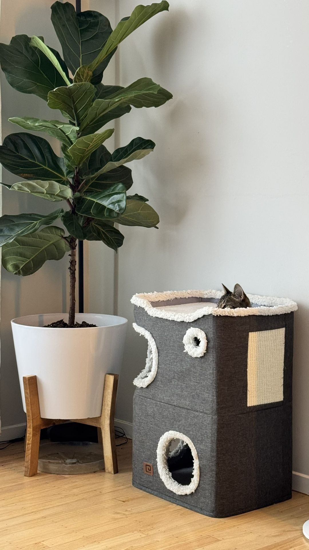 2-Story Cat House OBO.