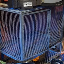 Bird Cage