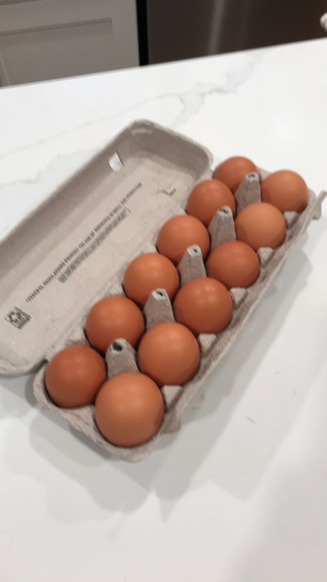 One Dozen Fresh Organic Eggs