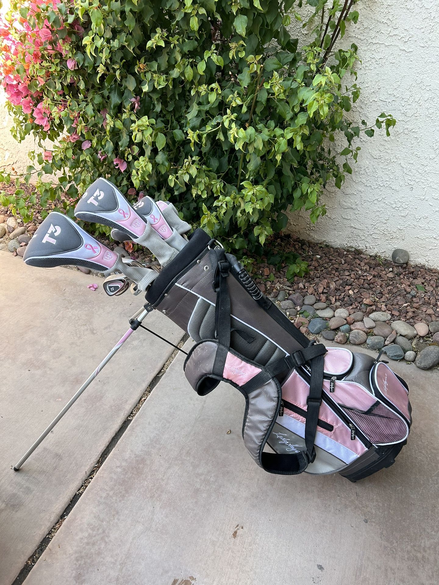 Women’s Golf Club Set lady Hagen 