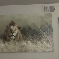 Lion Wall Art 