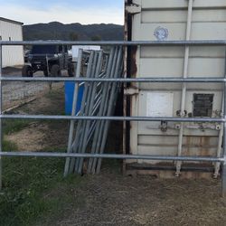Horse Panels 