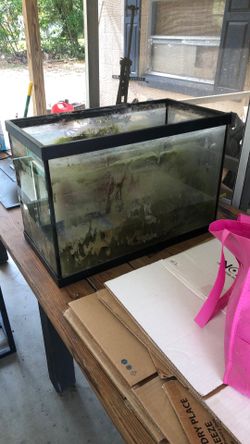 15 Gallon Aquarium Fish Tank W Filter Lid Accessories
