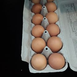 Fresh Organic Brown Eggs 