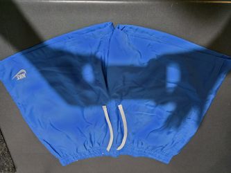Nike Athletic Shorts 