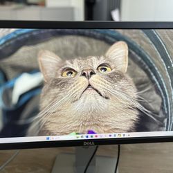 21” Dell Monitor - P2214HB (2015)