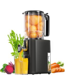 Cold Press Juicer, 5.5inch Wide Feed Chute Juicer Machine, Slow Masticating Juicer for Whole Vegetables & Fruits, Black