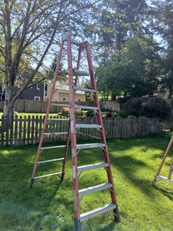 2 person ladder