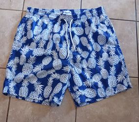 Mens Swimming Trunks Sz LARGE