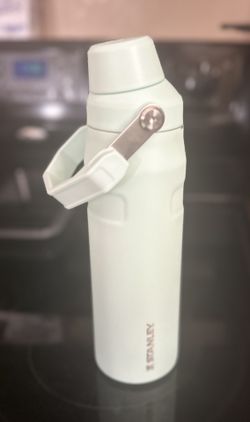 Mint Stanley 24os Fast Flow Water Bottle