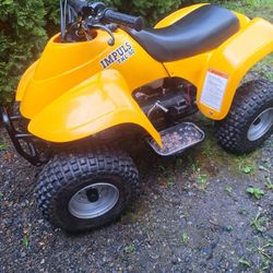 1999 Eton Impulse 50cc Quad