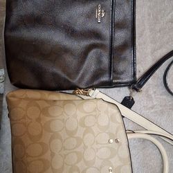 coach purses
