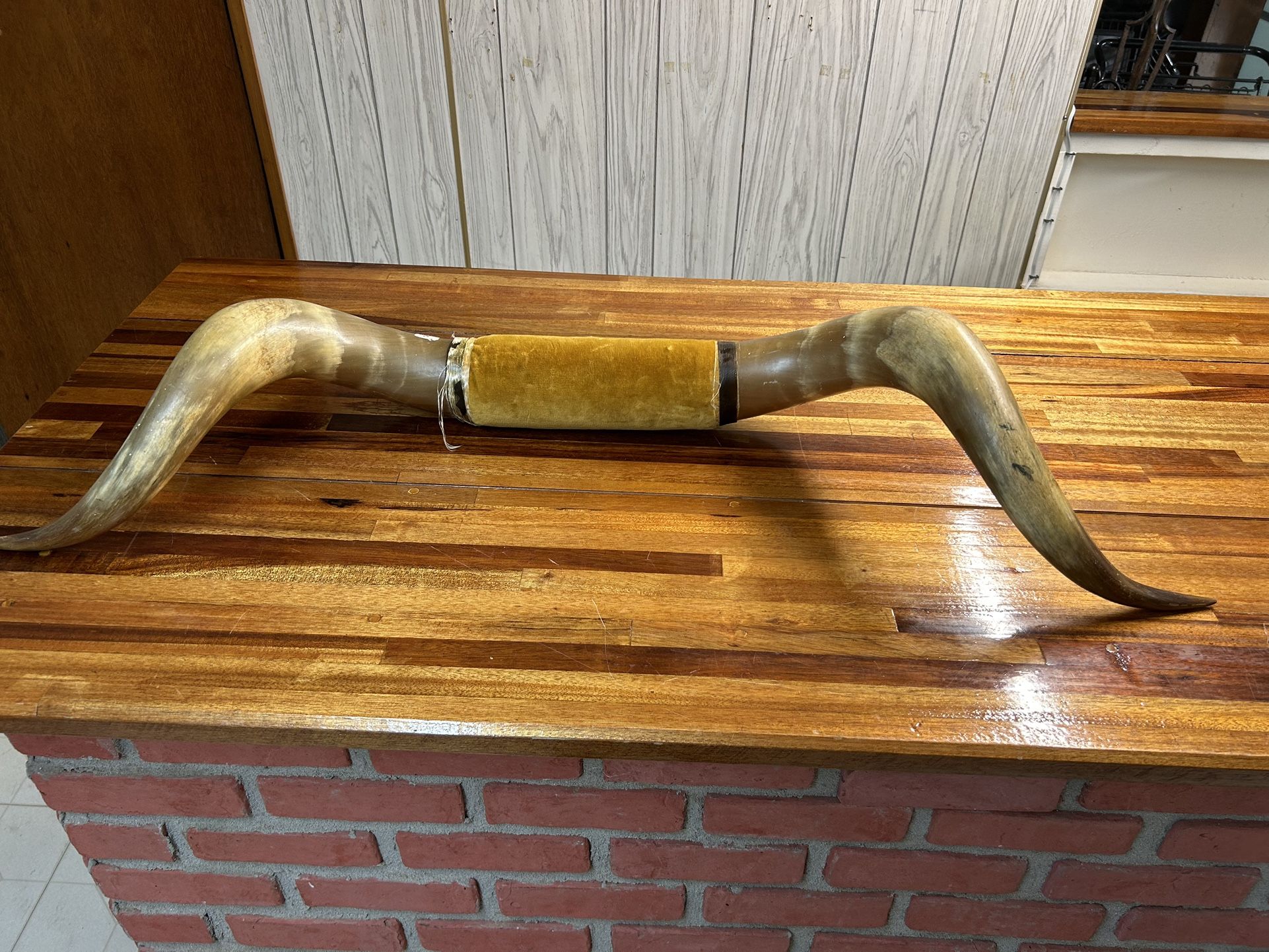 Bull Horn