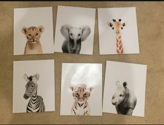 Nursery Decor Animal Prints