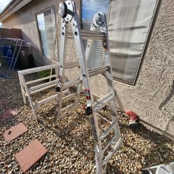 12 Foot Gorilla Ladder 