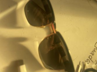 Gucci Glasses