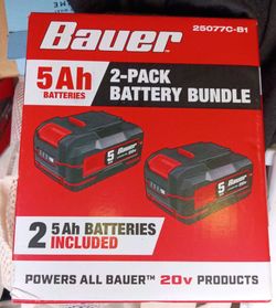 Baur 2 pack battery