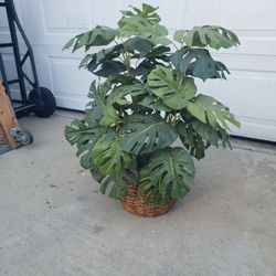 Artificial Plant 