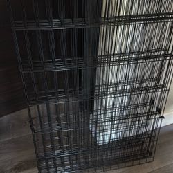 Dog Fence 