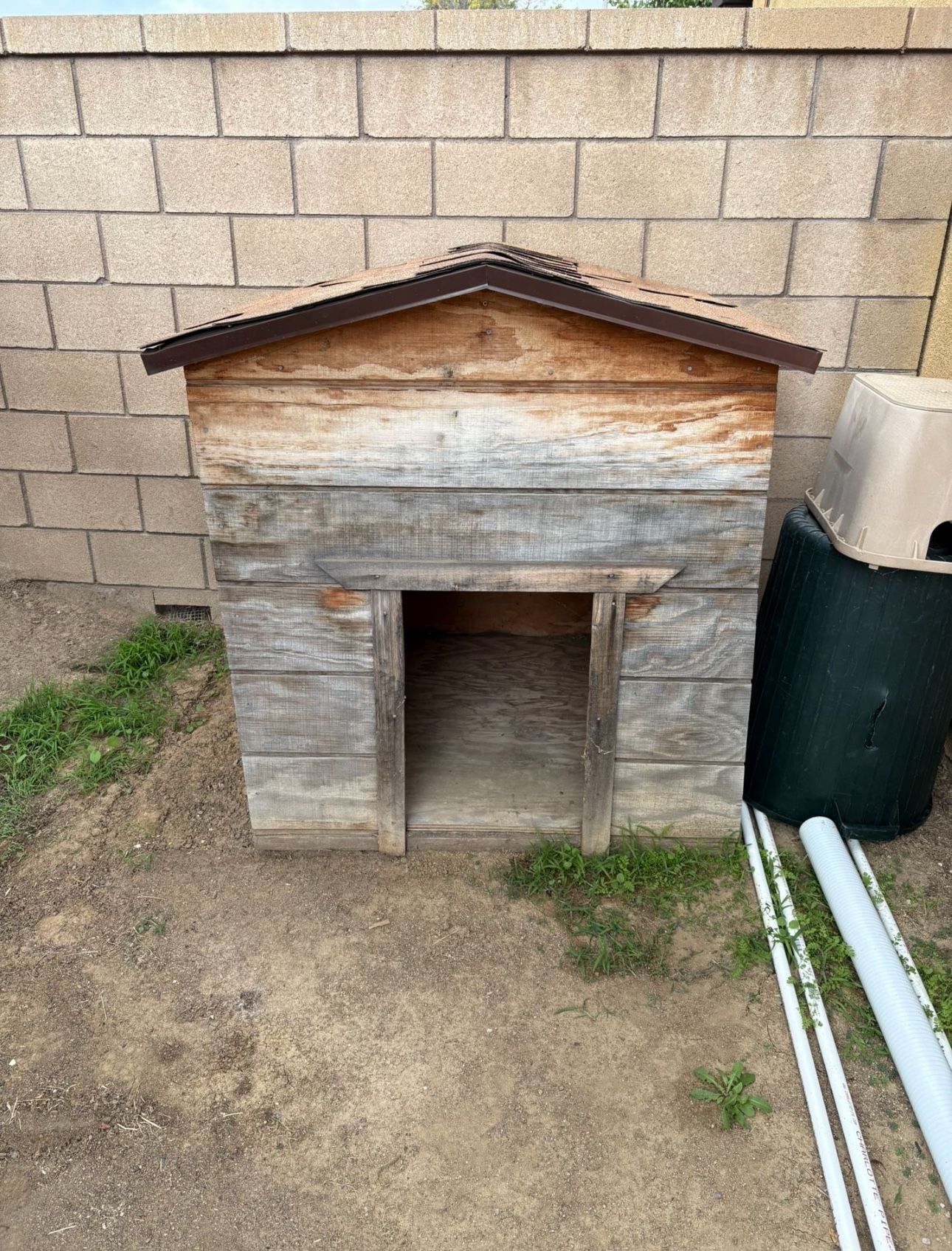 Dog House 