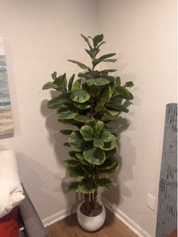 Faux Fiddle Leaf Fig Tree 6ft with Planter