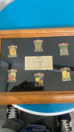 80th anniversary San Diego zoo pin set