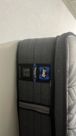 Queen Mattress FREE