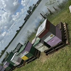 Agricultural Exemption 