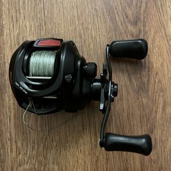 Favorite Baitcasting Reel