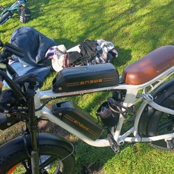 Dual Battery Electric Bike