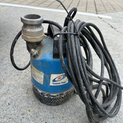 Electric Submersible Pump 