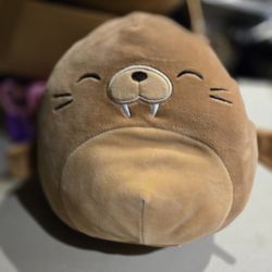 Walrus Squishmallow 