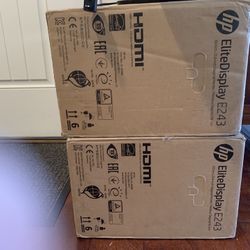 Two 24" HP Monitors