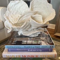 Coral On Acrylic Stand Sculpture  Williams Sonoma 