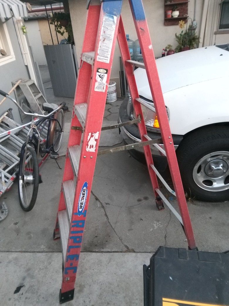 6' Ft Werner Ladder