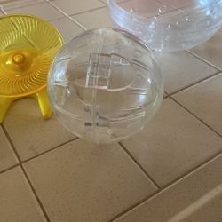 Hamster Ball