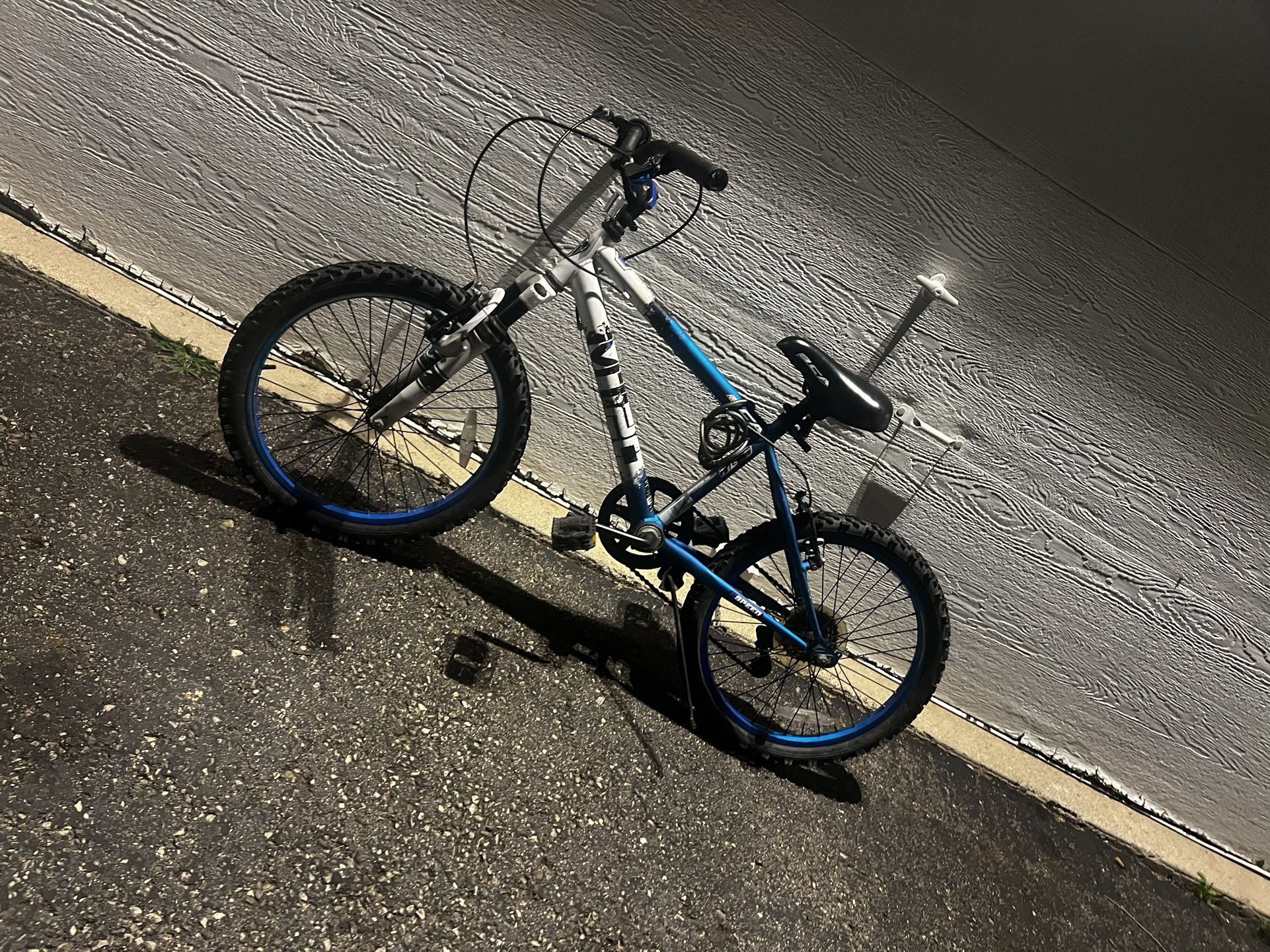 BCA 20" MT20 Mountain Boy's Bike, Blue/White