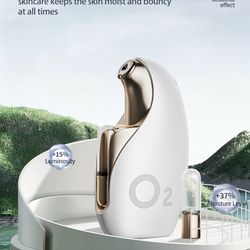 Rechargeable portable oxygen sprayer.