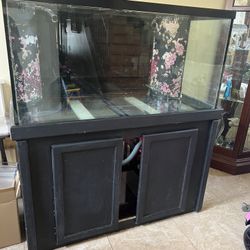 120 Gallon Fish tank