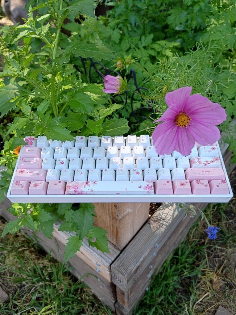 Skyloong Keyboard