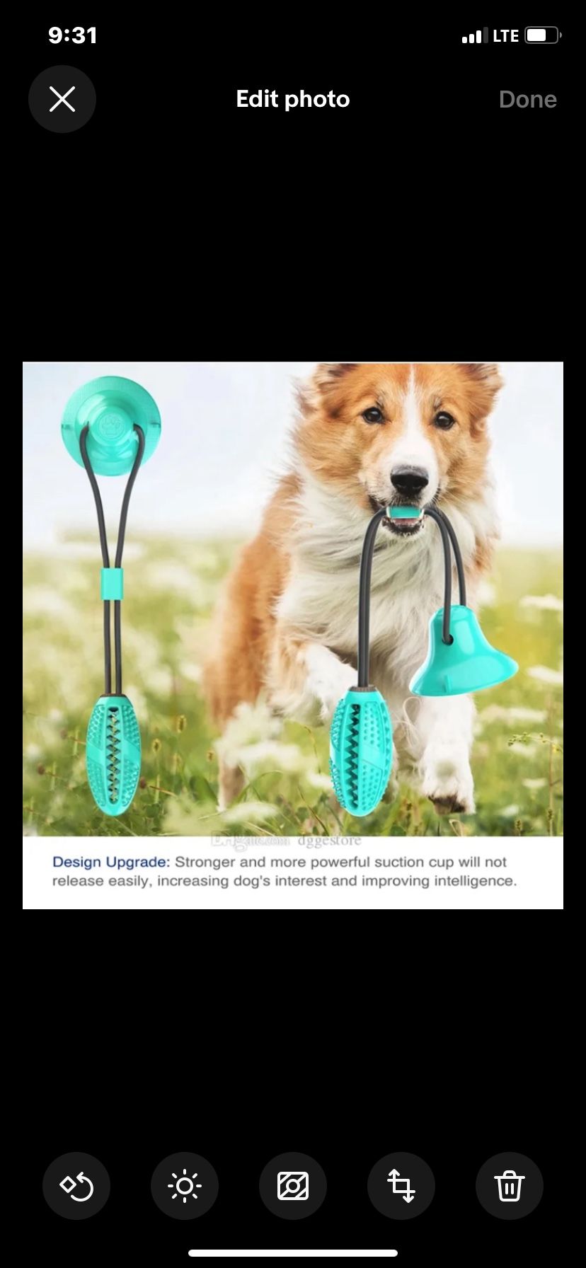 'Grip N' Play' Treat Dispensing Football Shaped Suction Cup Dog Toy