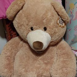 Costco Teddy Bear 53"