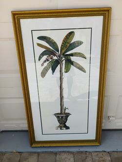 Montaro Elegant Art Framed Banana Plant Print. 46H 27W