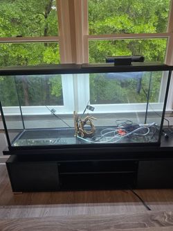 60 Gallon Tank with stand