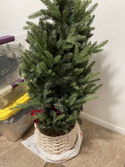 Small Christmas Tree 