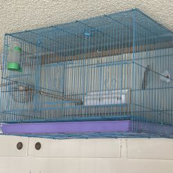 Bird Cages