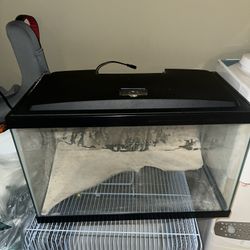 10 Gallon Fish Tank 
