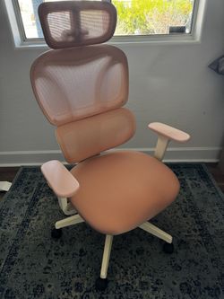 Welax S3 Ergonomic Office Chair