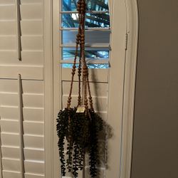 (2) Small Succulents With Wooden Bead Hanging Decor
