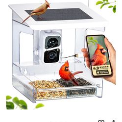 Nest- Flix Smart Cámara Feeder 